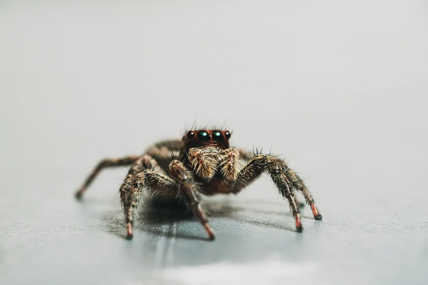 Photo by Timothy Dykes on Unsplash